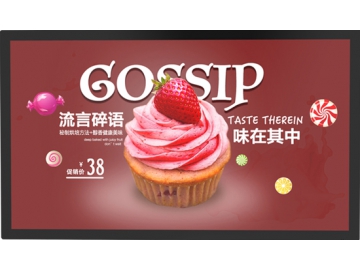 43 inch Commercial LCD Digital Signage