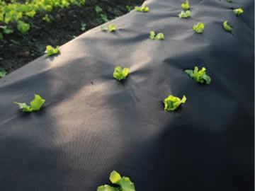 Nonwoven Landscape Fabric, Weed Fabric Rolls