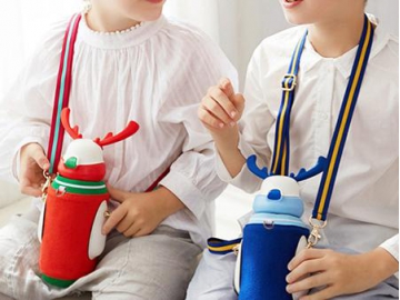 Water Bottle for Kids Stainless Steel Thermos with Sippy Straw Vacuum Insulated Bottle Christmas Gift