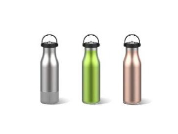 Stainless Steel Water Bottle with Handle Sports Bottle with Flip Straw
