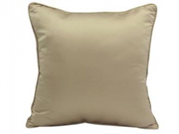 Sleek Throw Pillow