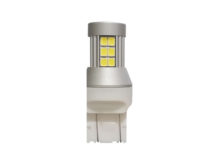 3156/3157 Series LED Miniature Bulb