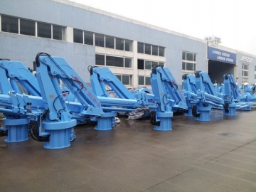 Telescopic Crane