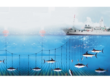 Pelagic longline Fishery, Tuna and Billfish Fishery