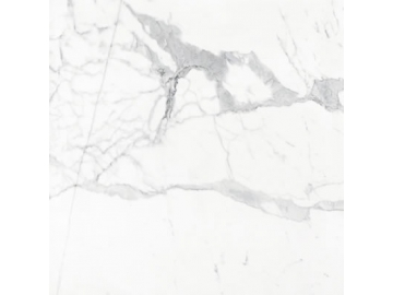 Marble Look tile- Carrara