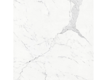 Marble Look tile- Carrara