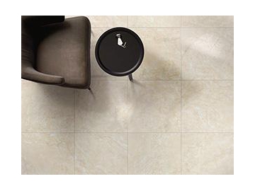 Marble Look Tile- Terranova