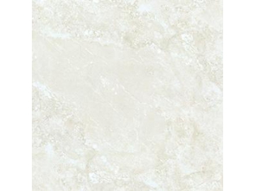 Marble Look Tile- Terranova