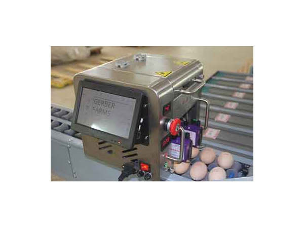 Egg Grader | Egg grading machines - 101A | ETW International