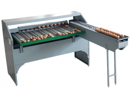 101A Egg Grader (4,000 EGGS/HOUR)