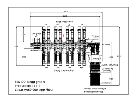 111 Egg Grader (60,000 EGGS/HOUR)