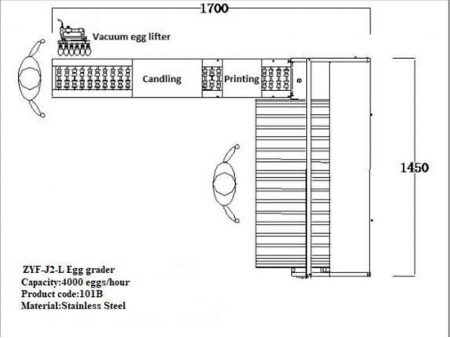 101B Egg Grader (4,000 EGGS/HOUR)