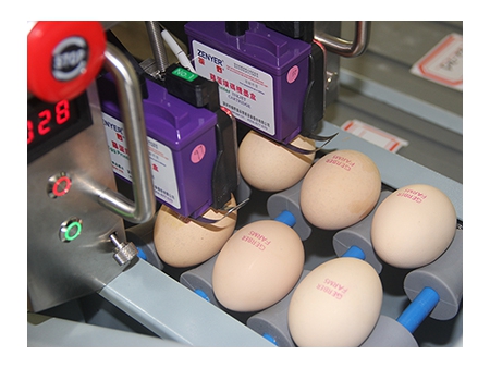 402H Egg Printer, Egg Coder