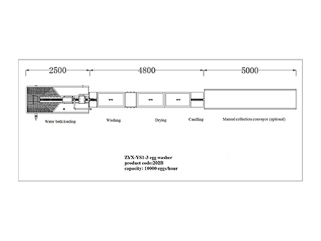 202B  Egg Washer (10,000 EGGS/HOUR)