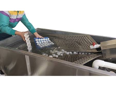 202B  Egg Washer (10,000 EGGS/HOUR)