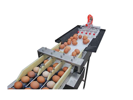 102B  Egg Grader (5,400 EGGS/HOUR)