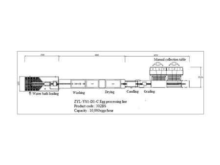 302BS Duck Egg Processing Line with Water Bath Loading & Washing & Grading (10,000 EGGS/HOUR)