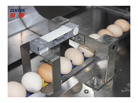 302BS Duck Egg Processing Line with Water Bath Loading & Washing & Grading (10,000 EGGS/HOUR)