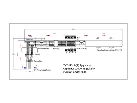 203A Egg Washer (20,000 EGGS/HOUR)