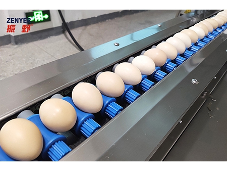 201A  Egg Washer (5000  EGGS/HOUR)