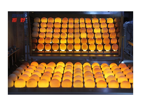 204A Egg Washer (30,000 EGGS/HOUR)