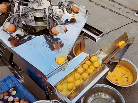 501A Egg Breaking and Separating Machine (3,000EGGS/HOUR)