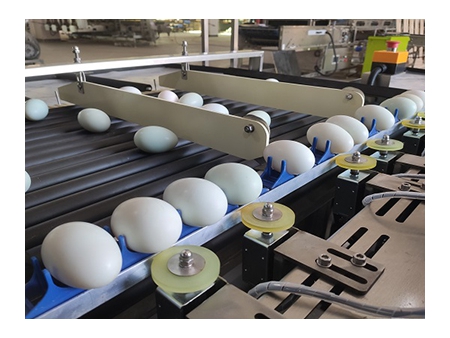 302B Duck Egg Processing Line with Water Bath Loading & Washing & Grading (10,000 EGGS/HOUR)