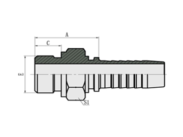 BSP Male O-Ring Seal