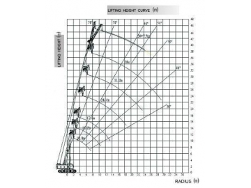 Telescopic Crawler Crane