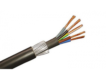 CU/PVC/PVC/SWA/PVC 0.6/1kV Multicore armored cable