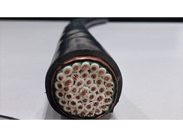 CU/PVC/CTS/PVC 0.6/1kV Copper tape screen control cable