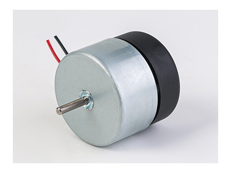 EC42 Electronically Commutated Motor (EC Motor)