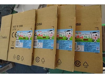 AS-P05D Print and Apply Labeling System (Top Labeling)