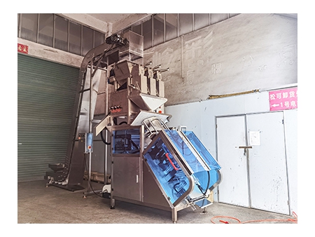 Ice Packaging Machine with 2 Head & 3 Head Linear Weigher, SK-L780