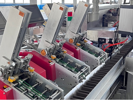 Automatic Sachet Cartoning Machine