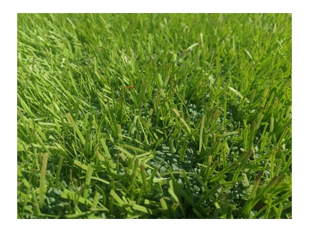 WFIG/F Series Artificial Grass Infill