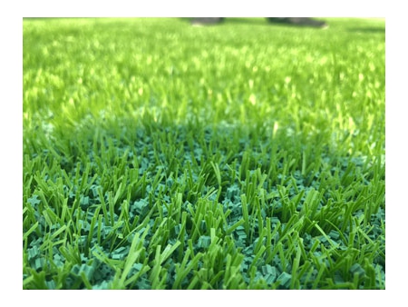 WFIG/F Series Artificial Grass Infill