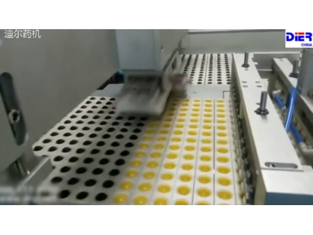Pharmaceutical Granulation Line (for Large Pills)