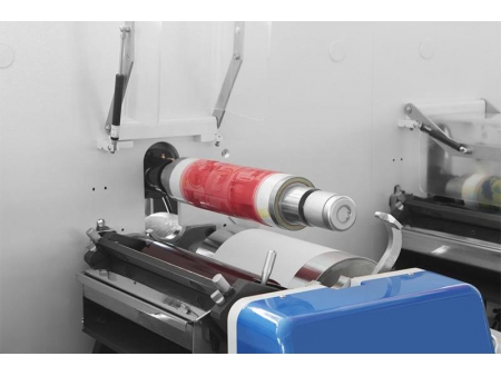 Flexo Printing Machine, ZJR-350W/450W/650W