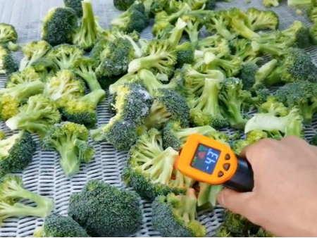 2 Tons Tunnel Freezer for Broccoli and Cabbage in China