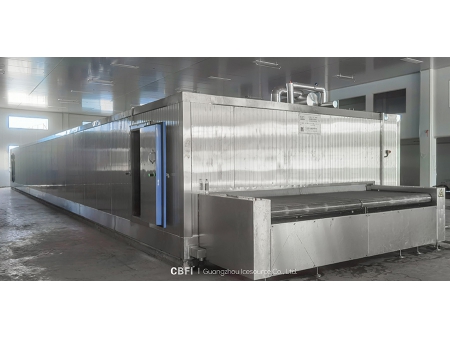 2 Tons Tunnel Freezer for Broccoli and Cabbage in China