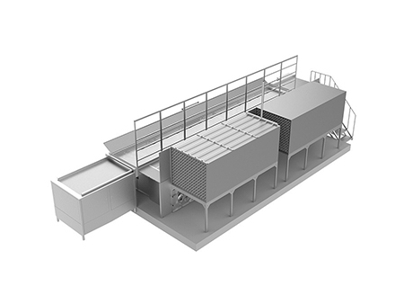 Fluidized Quick Freezer