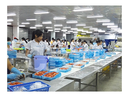 Quick Freezing Tunnel Freezer in Vietnam