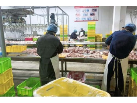 Tajikistan Chicken Slaughtering and Processing Plant Project