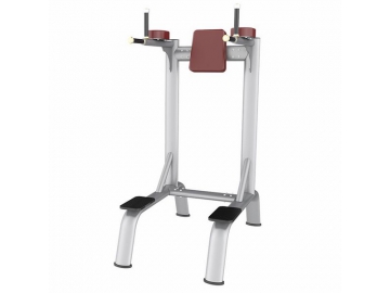 AN Free Weight Exercise Machine