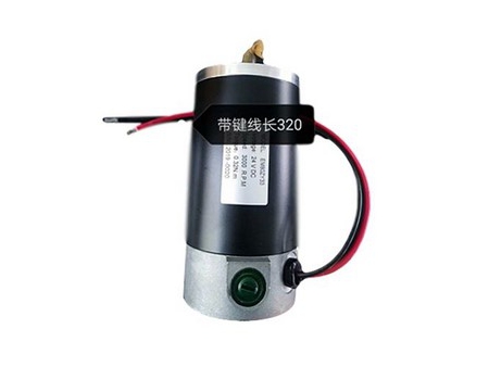 Brushed DC Motor