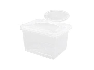 2900ml IML Plastic Box with Lid, CX116