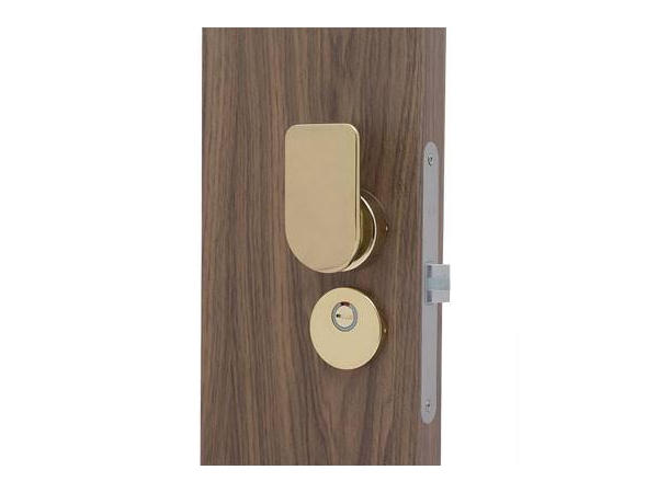 Push Pull Mortise Lock with Thumbturn | Locks | Zhengshi Hardware | ETW