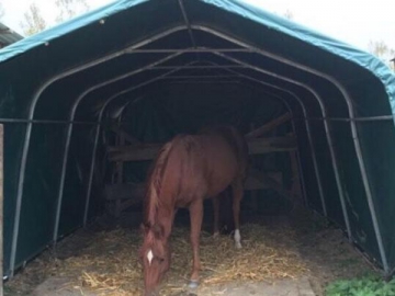 Horse Shelter