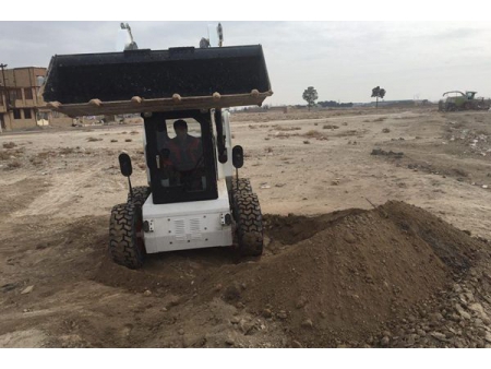 255F Skid Steer Loader